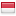 ibrafindonesia.com hosted country